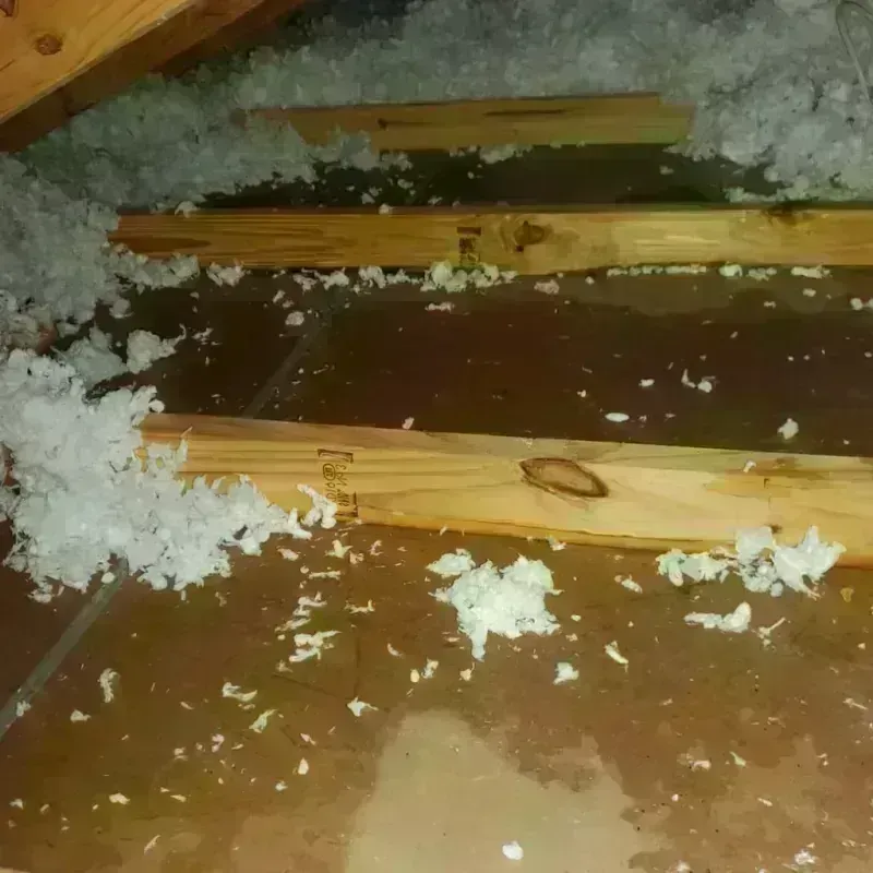 Attic Water Damage in Eupora, MS